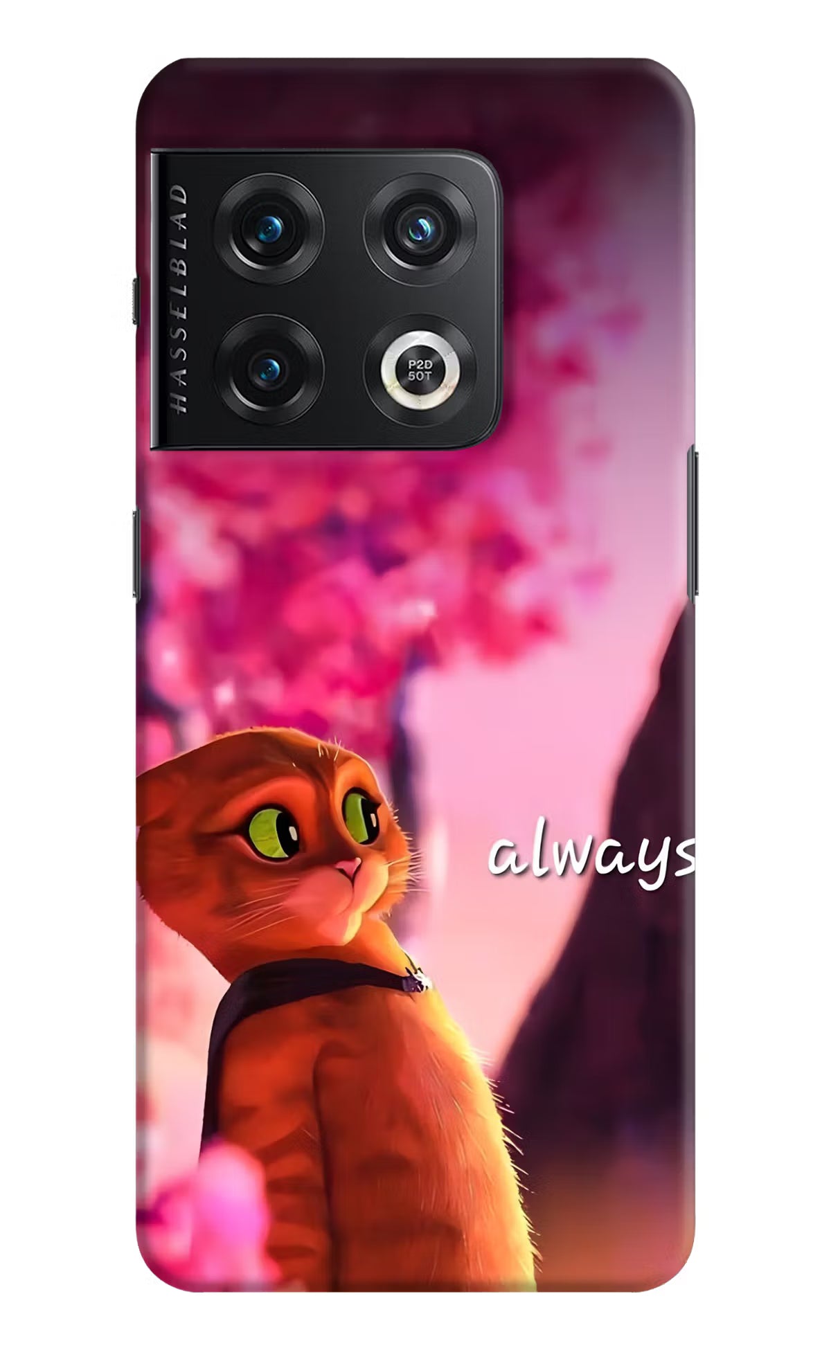 Always Cat OnePlus 10 Pro 5G Back Cover