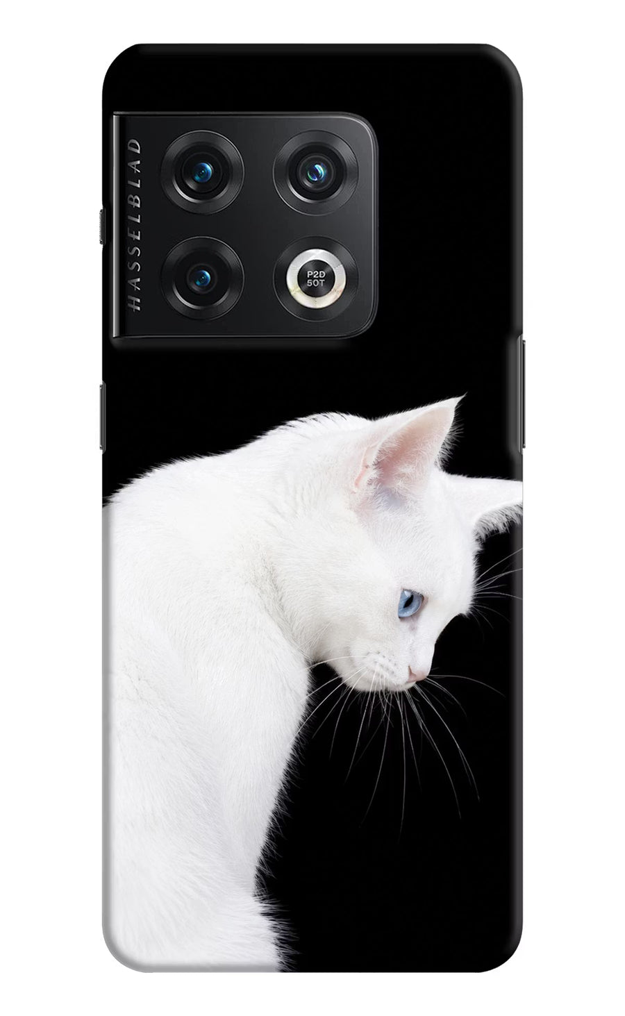 Snow Gaze OnePlus 10 Pro 5G Back Cover, Hard case
