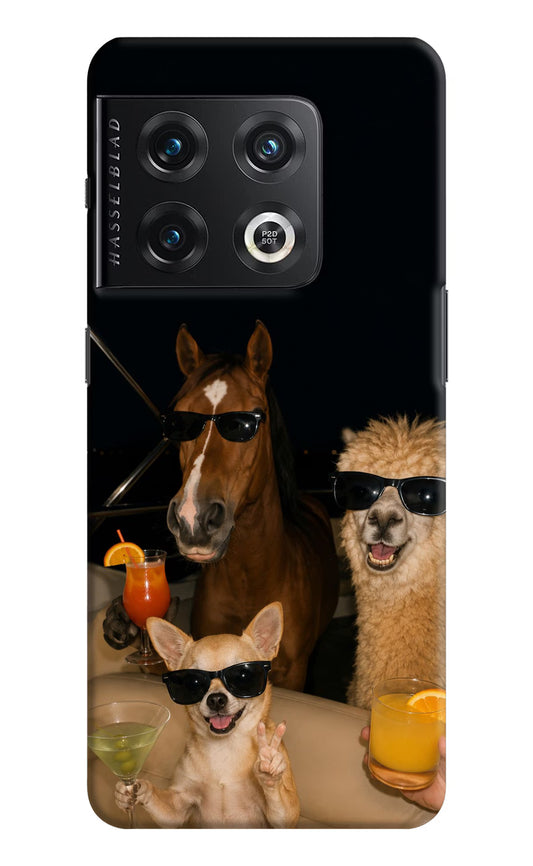 Party Squad OnePlus 10 Pro 5G Hard Case Back Cover by Casekaro