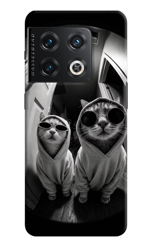 Hood Cats OnePlus 10 Pro 5G Hard Case Back Cover by Casekaro