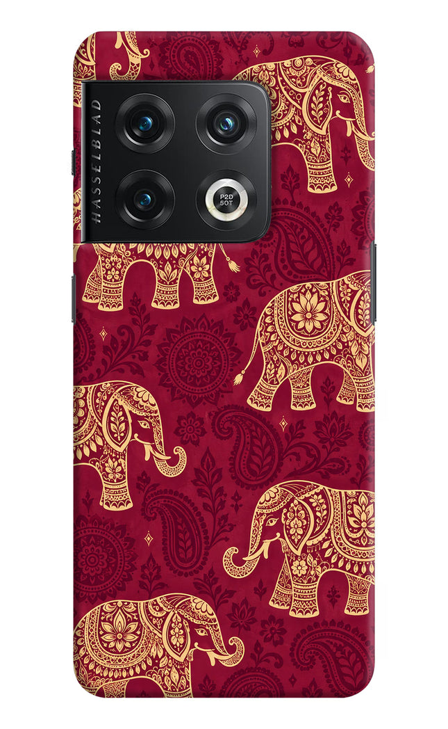 Maroon Elephant OnePlus 10 Pro 5G Hard Case Back Cover by Casekaro