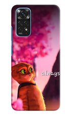 Always Cat Redmi Note 11/11S Hard Case Back Cover by Casekaro
