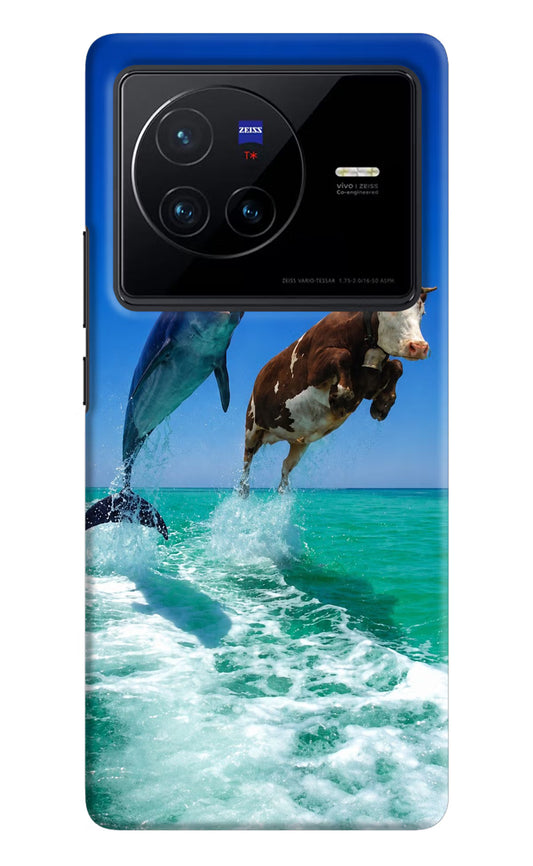 Dolphin vs Cow Vivo X80 Hard Case Back Cover by Casekaro