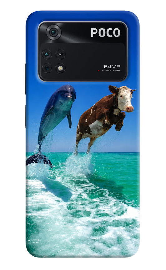 Dolphin vs Cow Poco M4 Pro 4G Hard Case Back Cover by Casekaro