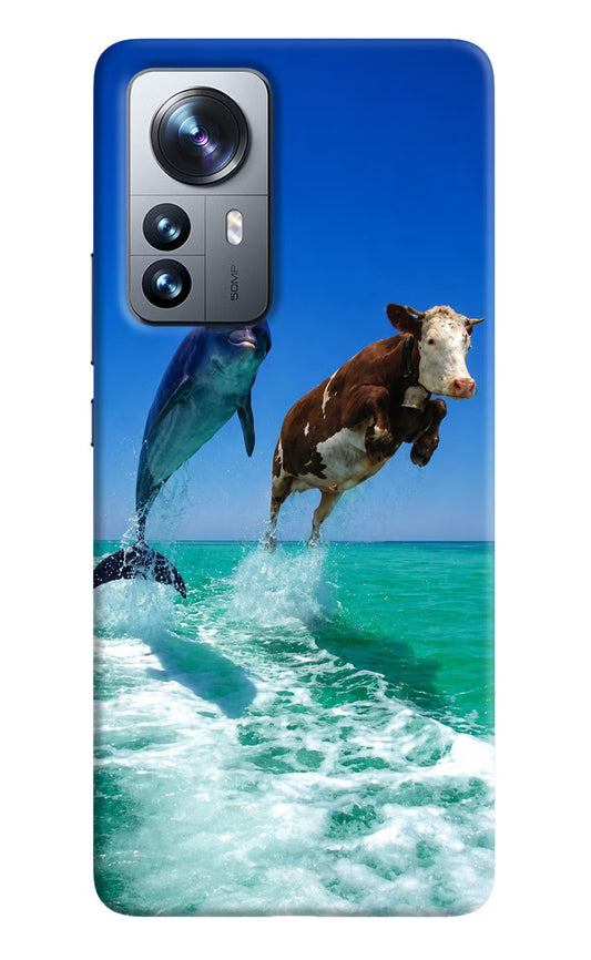 Dolphin vs Cow Mi 12 Pro 5G Hard Case Back Cover by Casekaro