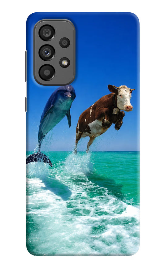 Dolphin vs Cow Samsung A73 5G Hard Case Back Cover by Casekaro