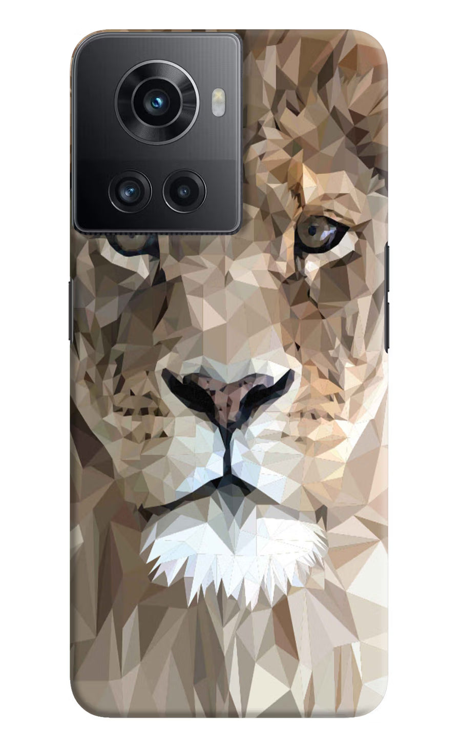Lion Art OnePlus 10R 5G Back Cover, Hard case