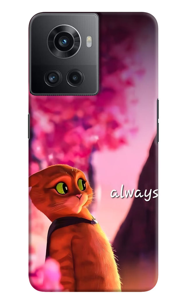 Always Cat OnePlus 10R 5G Hard Case Back Cover by Casekaro