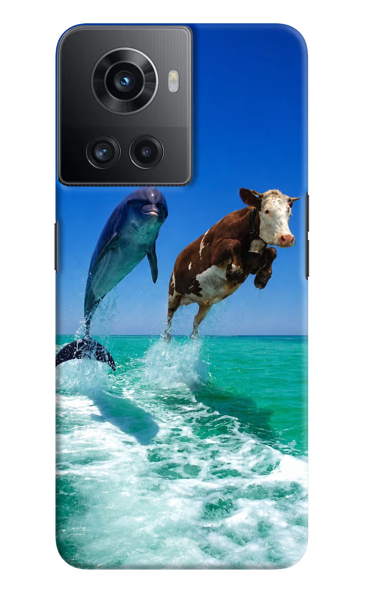 Dolphin vs Cow OnePlus 10R 5G Back Cover