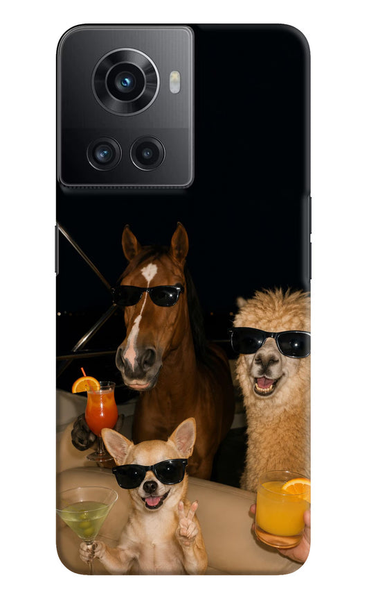 Party Squad OnePlus 10R 5G Hard Case Back Cover by Casekaro
