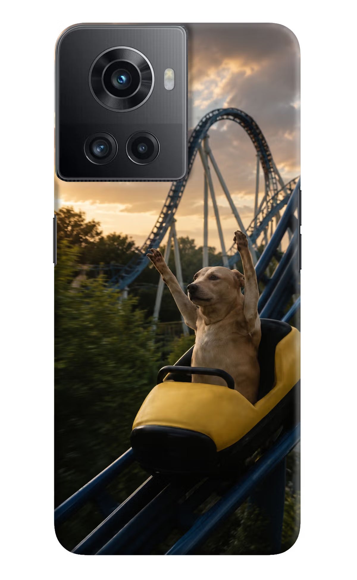 Rollercoaster Dog OnePlus 10R 5G Back Cover