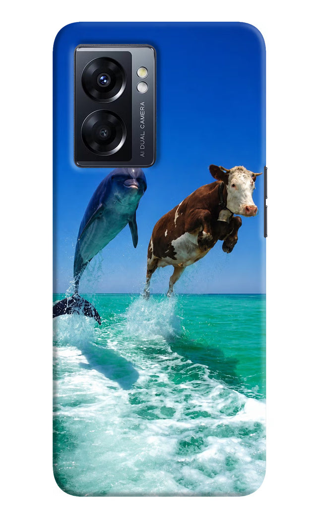 Dolphin vs Cow Oppo K10 5G Hard Case Back Cover by Casekaro