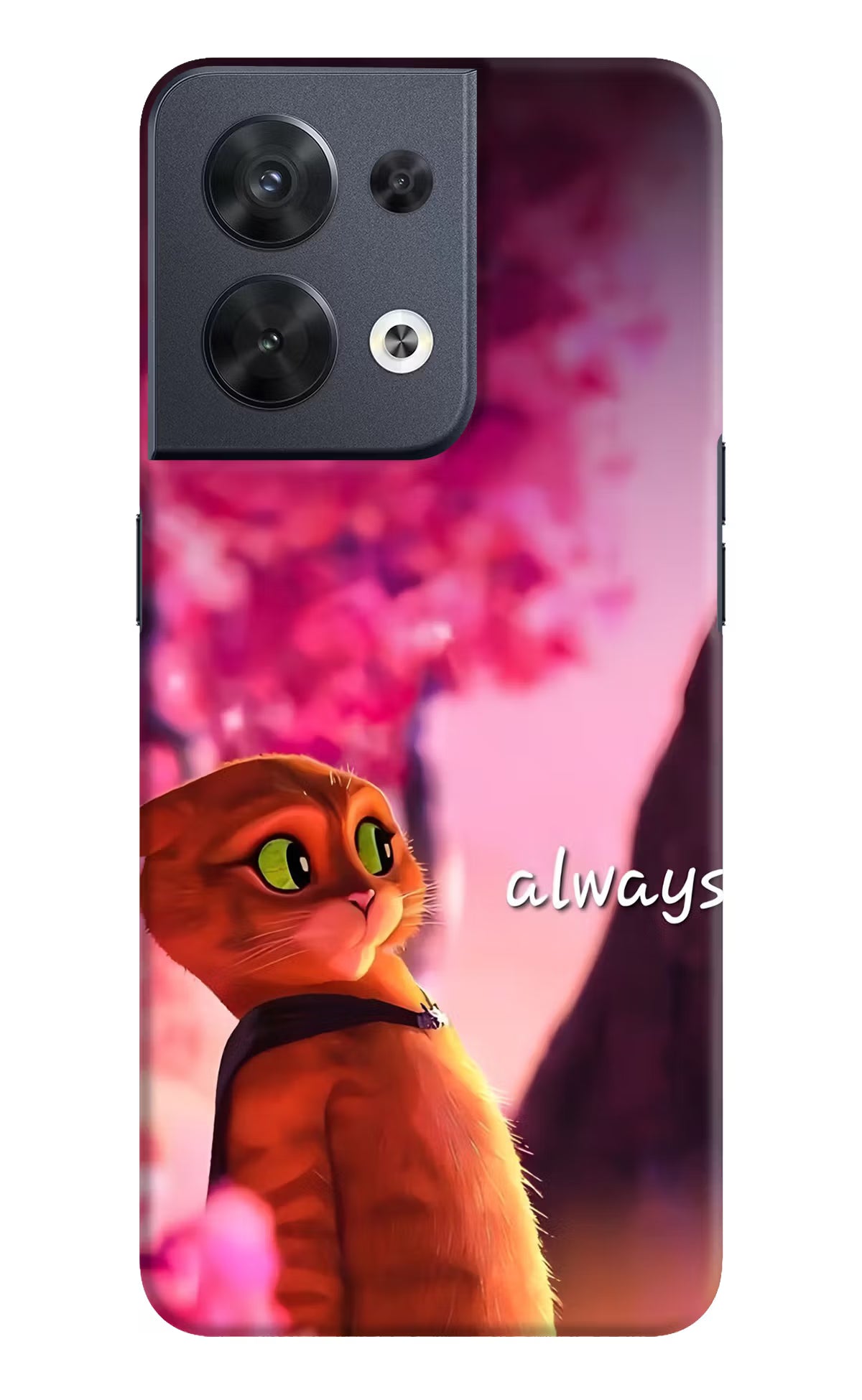 Always Cat Oppo Reno8 Back Cover