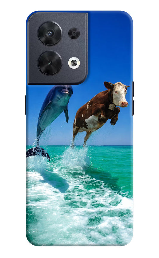 Dolphin vs Cow Oppo Reno8 Hard Case Back Cover by Casekaro