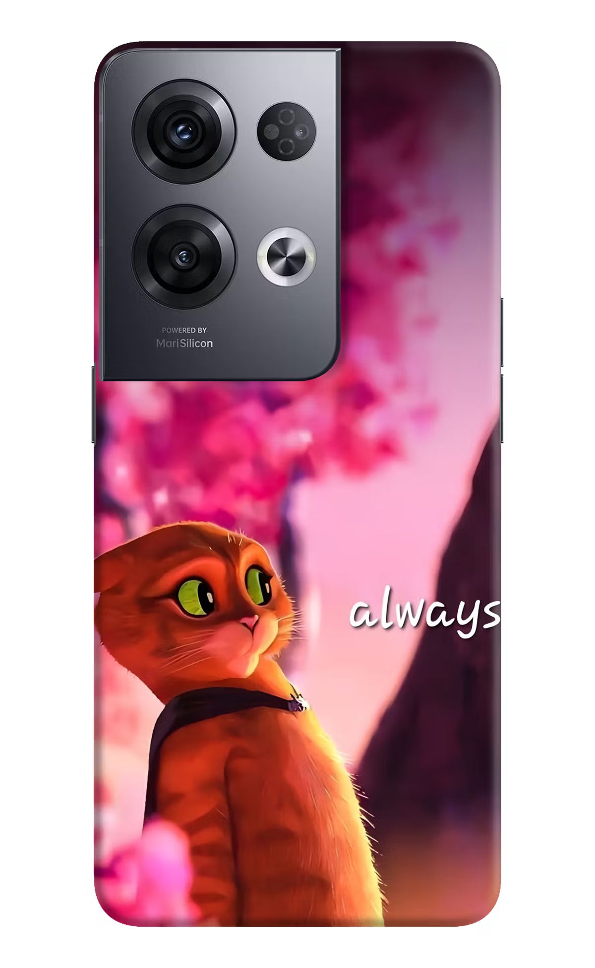 Always Cat Oppo Reno8 Pro Back Cover