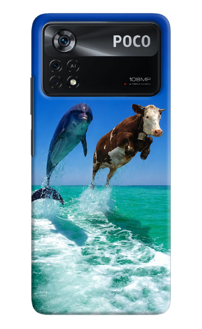 Dolphin vs Cow Poco X4 Pro Hard Case Back Cover by Casekaro