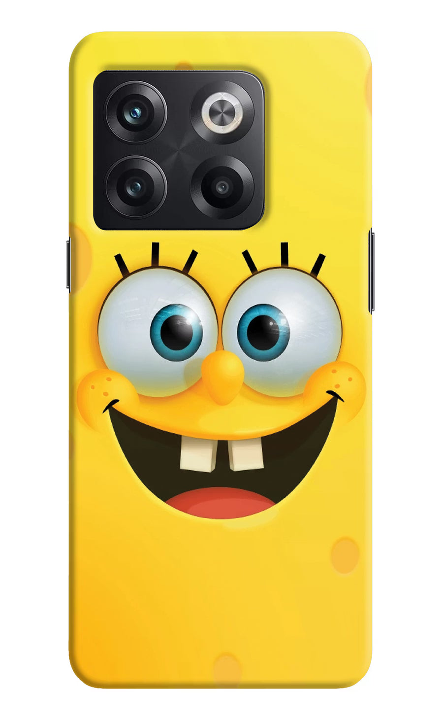 Sponge 1 OnePlus 10T 5G Back Cover, Hard case