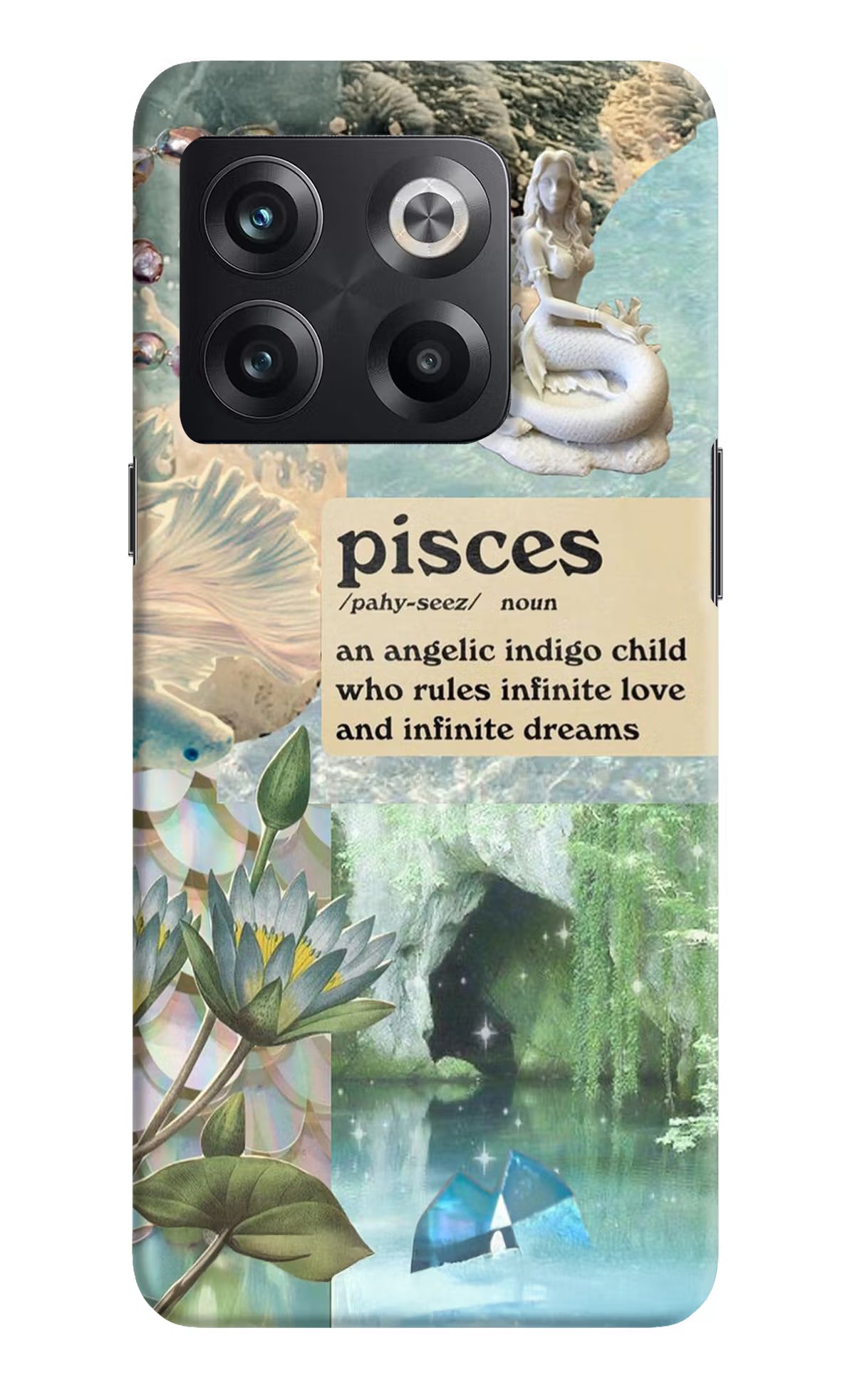Pisces Zodiac OnePlus 10T 5G Hard Case Back Cover by Casekaro