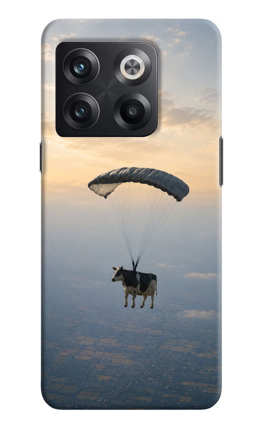 Skydiving Cow OnePlus 10T 5G Hard Case Back Cover by Casekaro