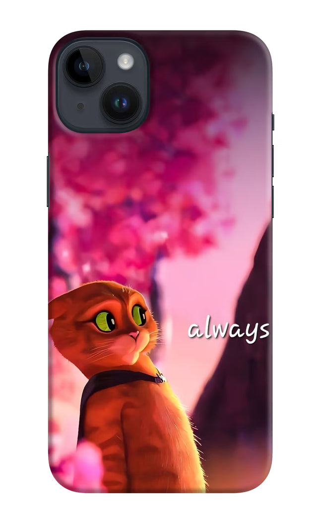 Always Cat iPhone 14 Plus Hard Case Back Cover by Casekaro