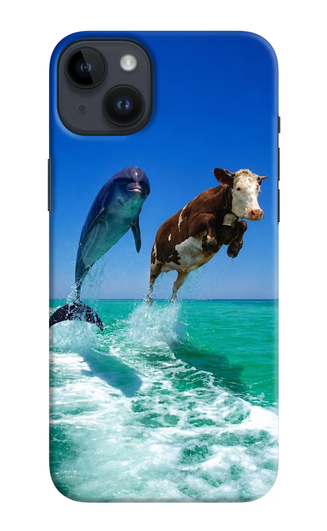 Dolphin vs Cow iPhone 14 Plus Hard Case Back Cover by Casekaro