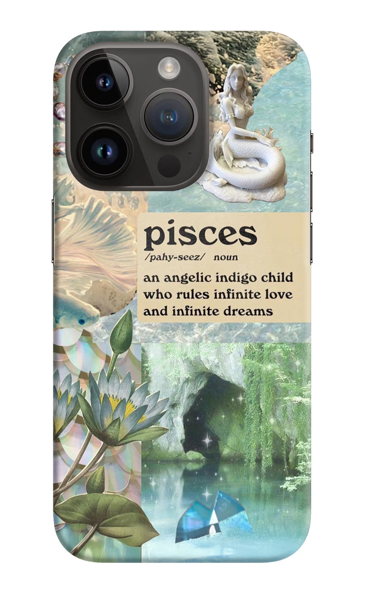Pisces Zodiac iPhone 14 Pro Hard Case Back Cover by Casekaro