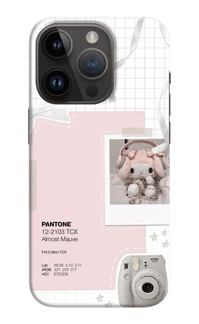 Pantone Asthetic iPhone 14 Pro Hard Case Back Cover by Casekaro