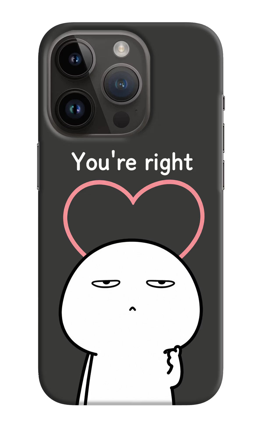 You're Right iPhone 14 Pro Back Cover, Hard case