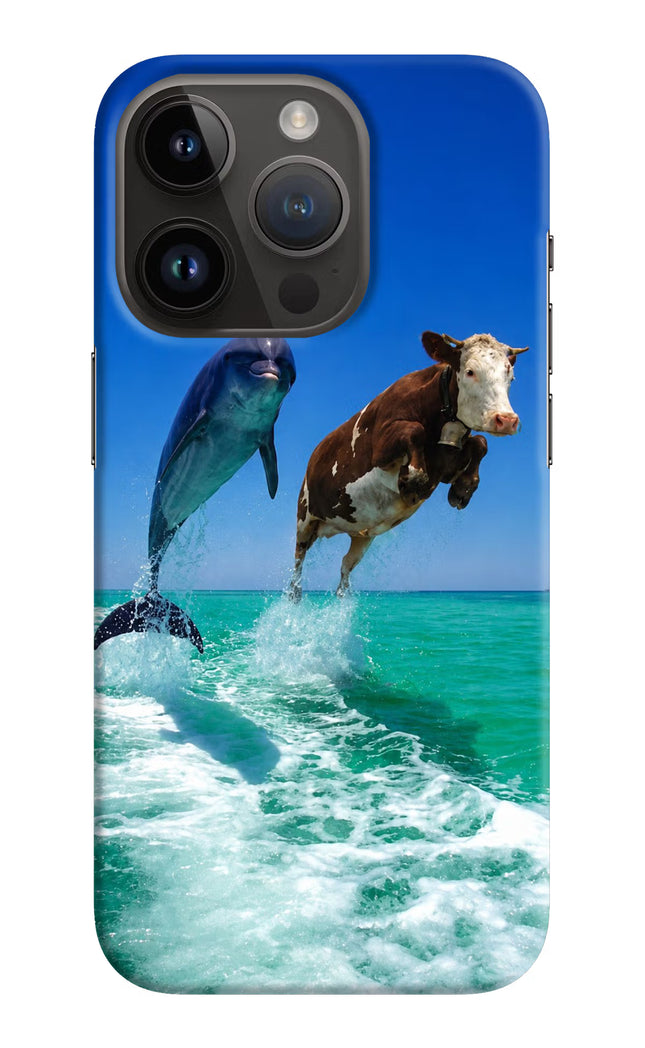 Dolphin vs Cow iPhone 14 Pro Hard Case Back Cover by Casekaro
