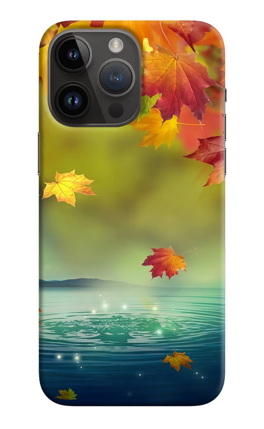 Flowers iPhone 14 Pro Max Hard Case Back Cover by Casekaro