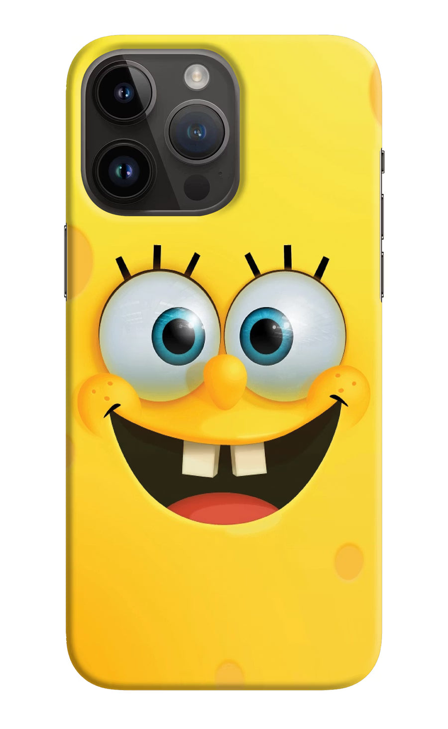 Sponge 1 iPhone 14 Pro Max Back Cover, Hard case