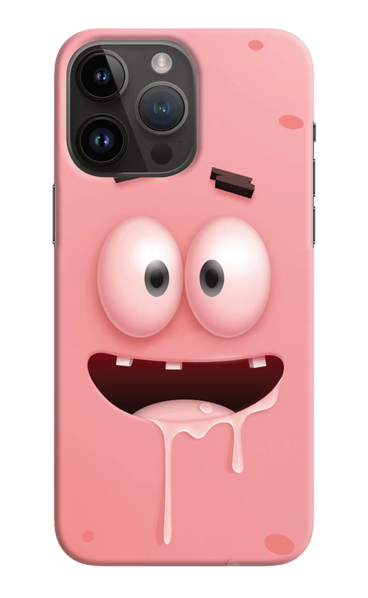 Sponge 2 iPhone 14 Pro Max Hard Case Back Cover by Casekaro