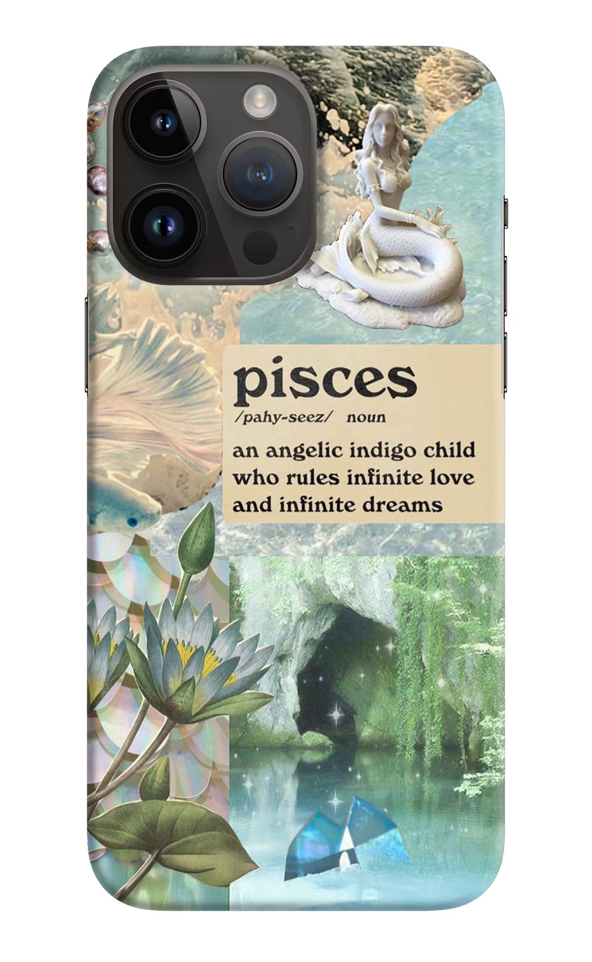Pisces Zodiac iPhone 14 Pro Max Hard Case Back Cover by Casekaro