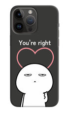 You're Right iPhone 14 Pro Max Hard Case Back Cover by Casekaro