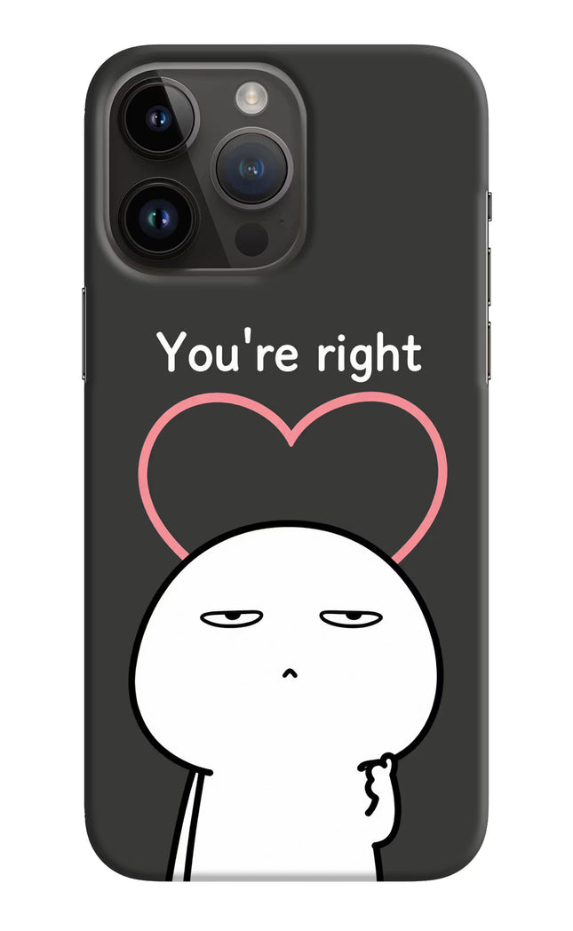 You're Right iPhone 14 Pro Max Hard Case Back Cover by Casekaro