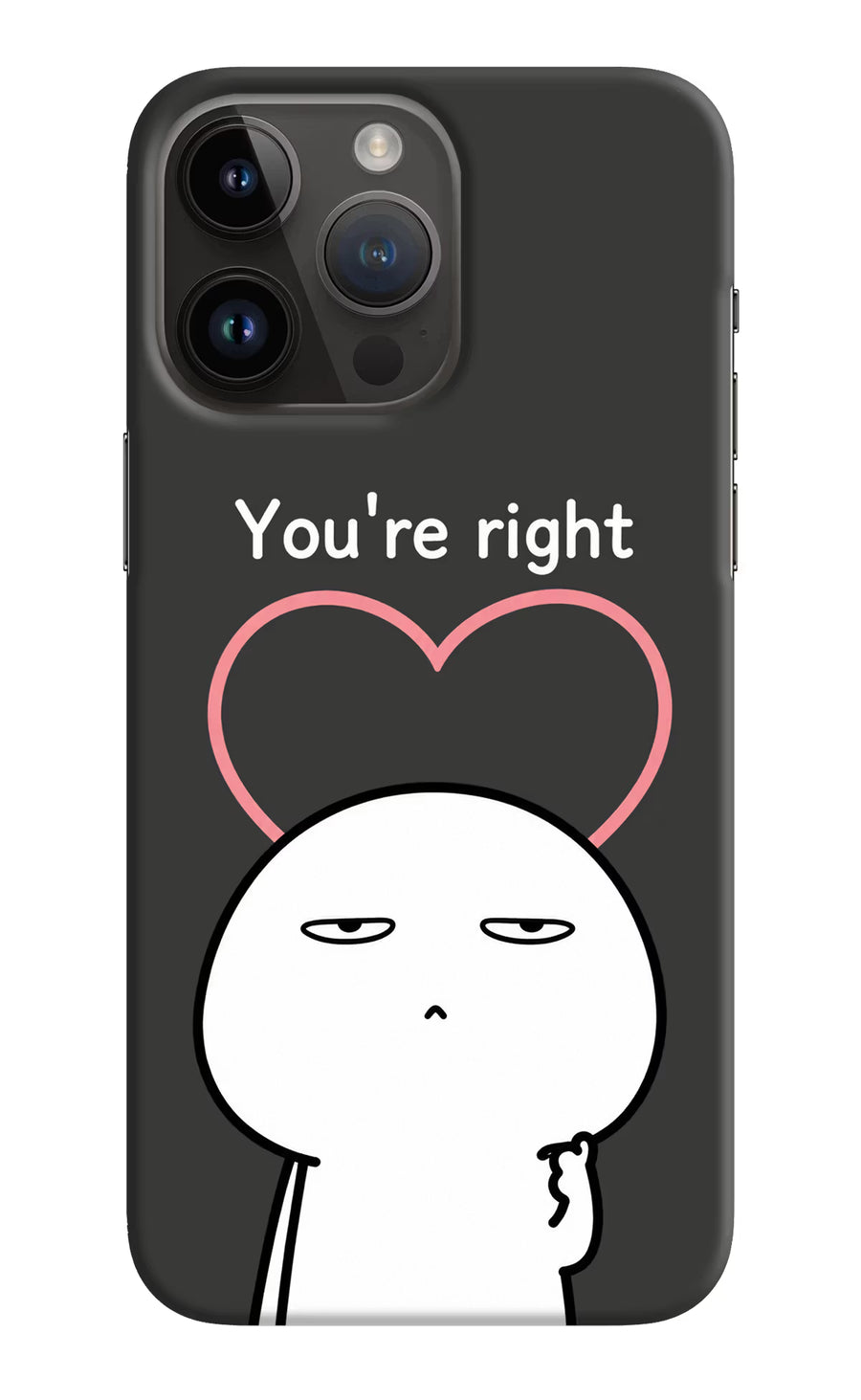 You're Right iPhone 14 Pro Max Back Cover, Hard case