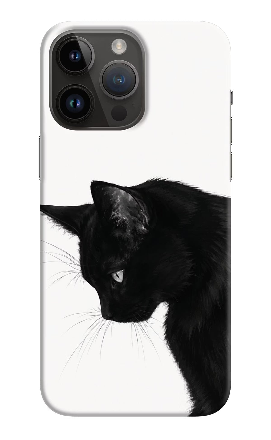 Shadow Gaze iPhone 14 Pro Max Back Cover, Hard case