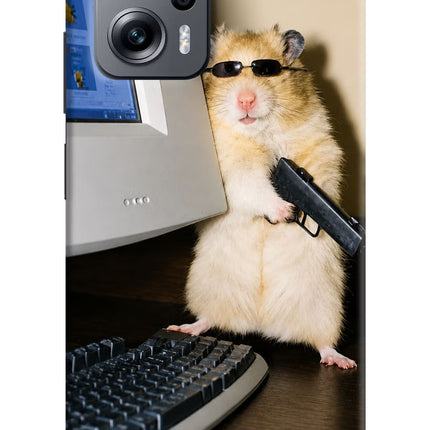 Hacker Hamster Redmi K50i Hard Case Back Cover by Casekaro