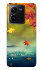 Flowers Vivo V25 5G Hard Case Back Cover by Casekaro