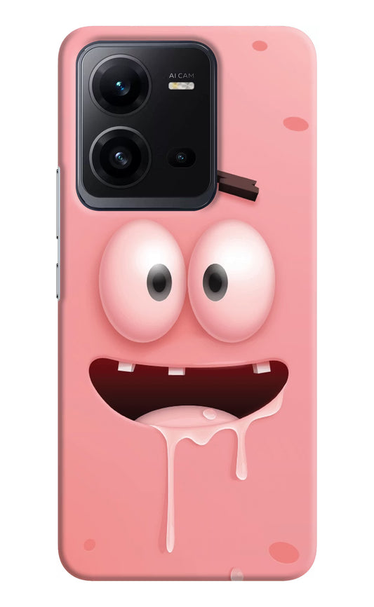 Sponge 2 Vivo V25 5G Hard Case Back Cover by Casekaro