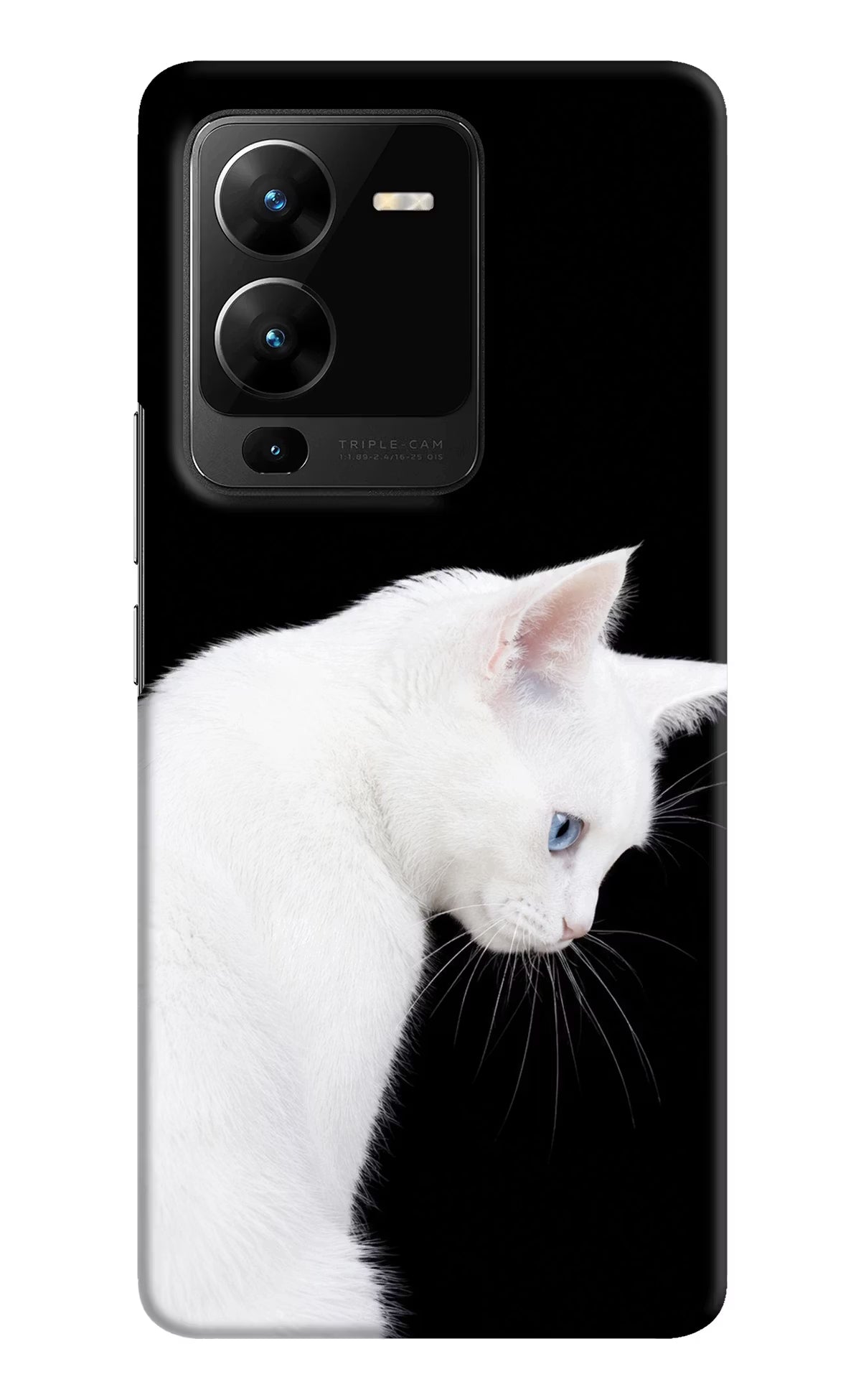 Snow Gaze Vivo V25 Pro 5G Back Cover