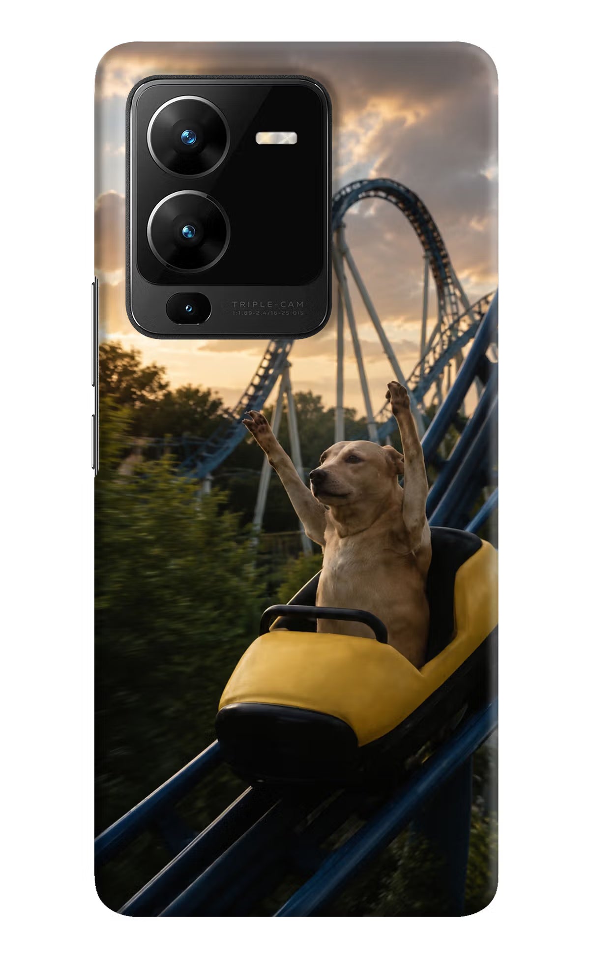 Rollercoaster Dog Vivo V25 Pro 5G Back Cover