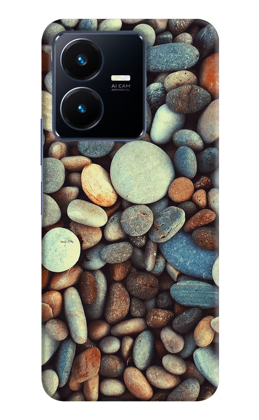 Pebble Vivo Y22 Hard Case Back Cover by Casekaro