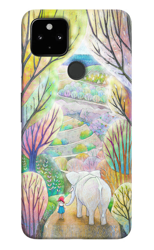 Nature Painting Google Pixel 4A Hard Case Back Cover by Casekaro