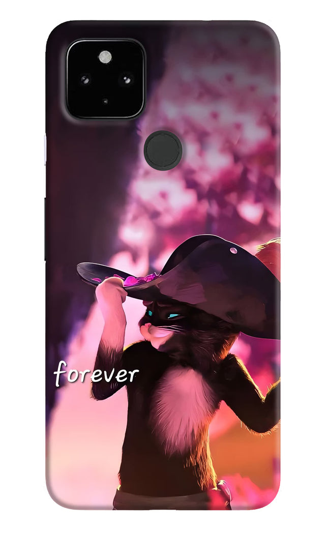 Forever Cat Google Pixel 4A Hard Case Back Cover by Casekaro