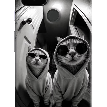 Hood Cats Google Pixel 4A Hard Case Back Cover by Casekaro