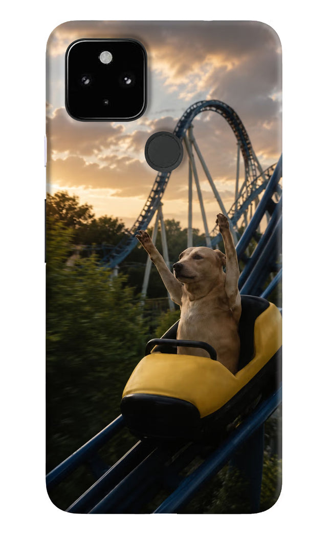 Rollercoaster Dog Google Pixel 4A Hard Case Back Cover by Casekaro