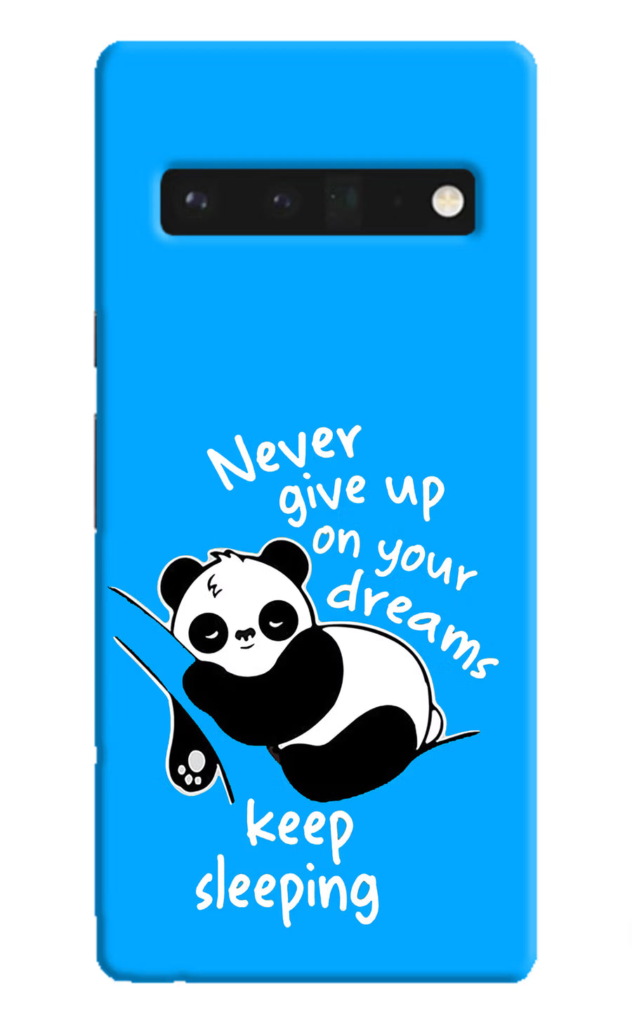 Keep Sleeping Google Pixel 6 Pro Back Cover, Hard case
