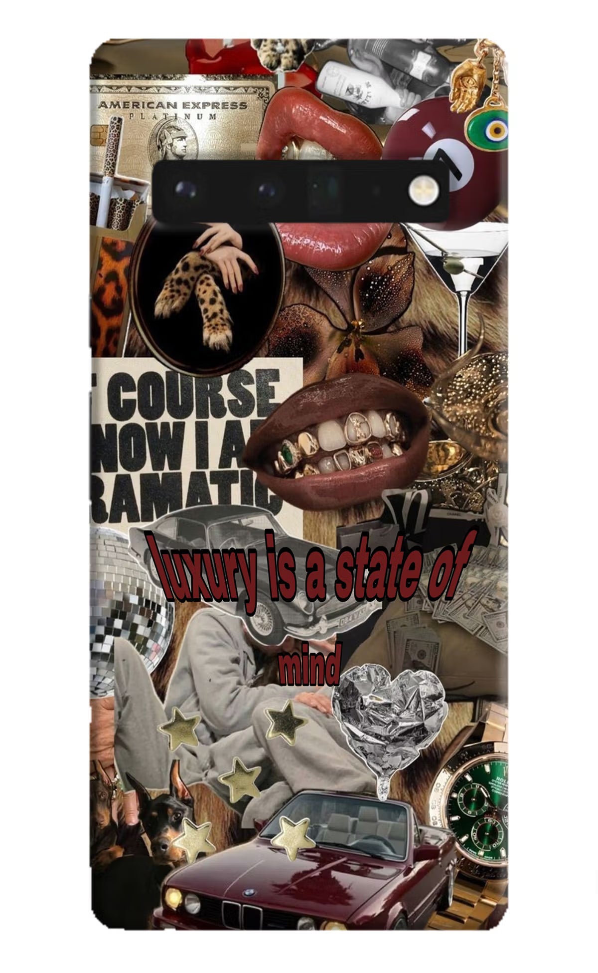 Luxury Google Pixel 6 Pro Hard Case Back Cover by Casekaro