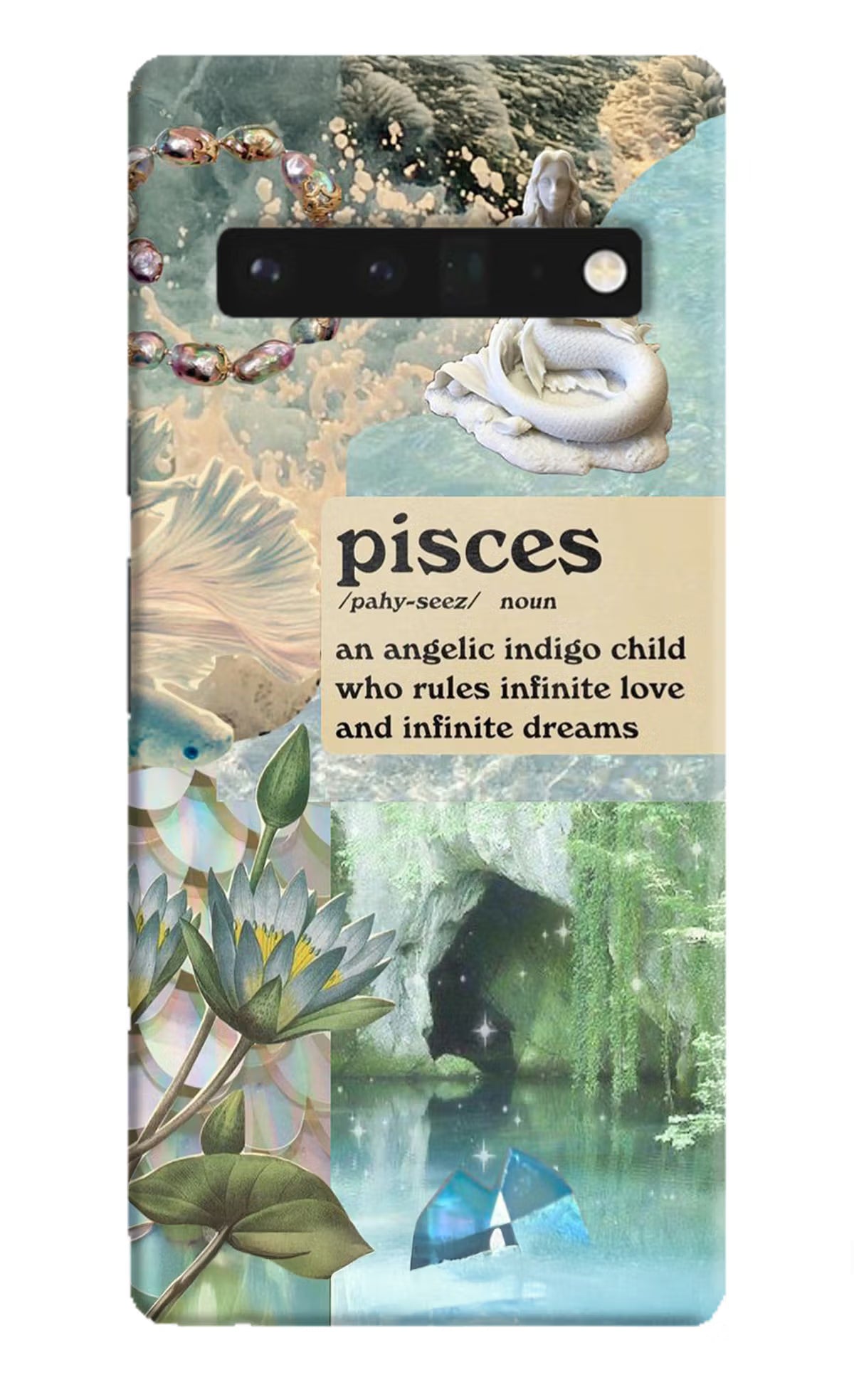 Pisces Zodiac Google Pixel 6 Pro Hard Case Back Cover by Casekaro